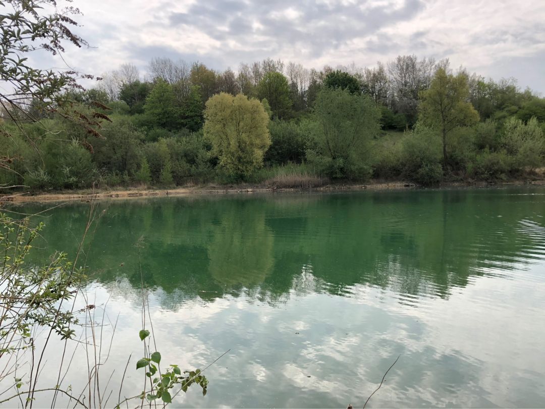 Baggersee Vorster Busch angeln