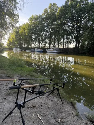 Niegripper Altkanal