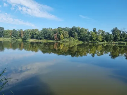 Haussee (Petzow)
