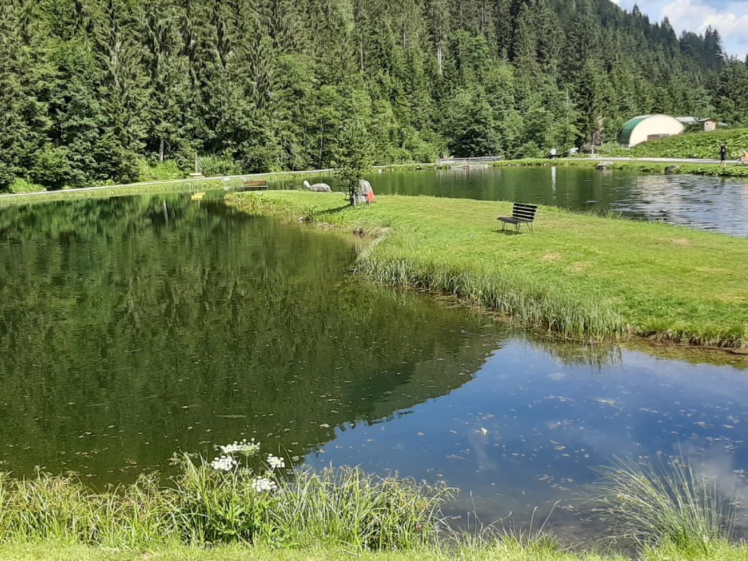 Kaiserwinkl Fischteiche angeln