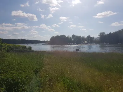 Schlei (Arnis)