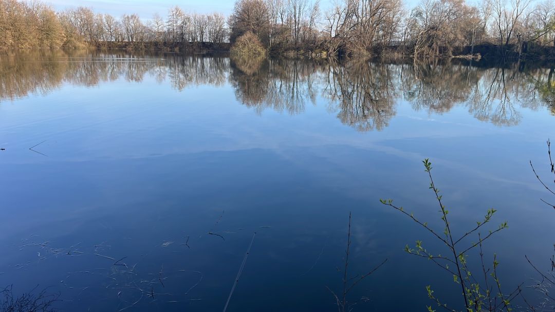 Nassenbeurer Weiher angeln