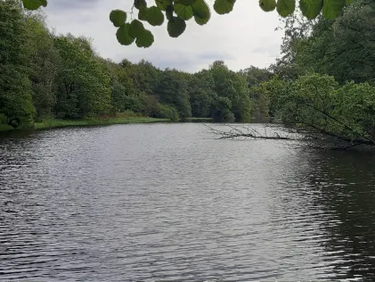 Lottbeker Stausee