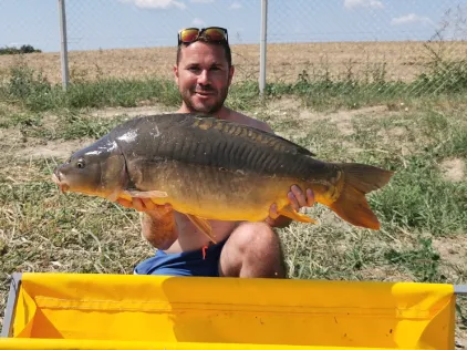 Jegrička bara