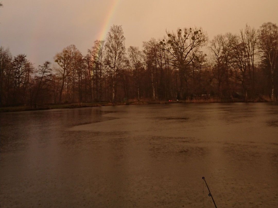 Pädelscher Teich angeln