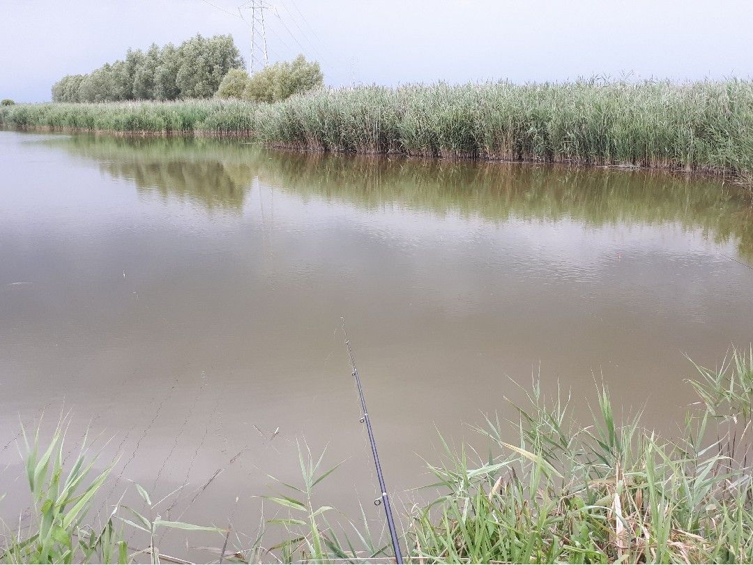 Canale Lugugnana (Bibione) angeln