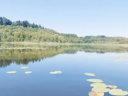 Großer Bürgersee (Neustrelitz)