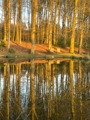 Teich Hardinghausen