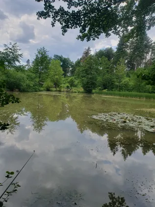 Kuhsee (Heldburg)