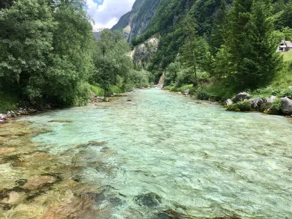 Soča