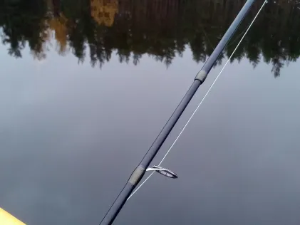 Stora Valsjön