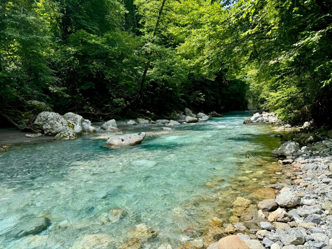 Bača angeln