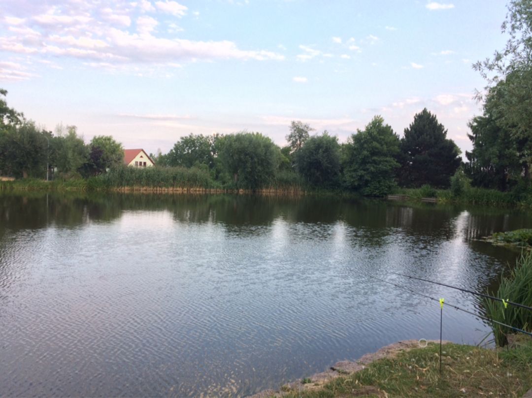 Schwemmteich Niederau angeln