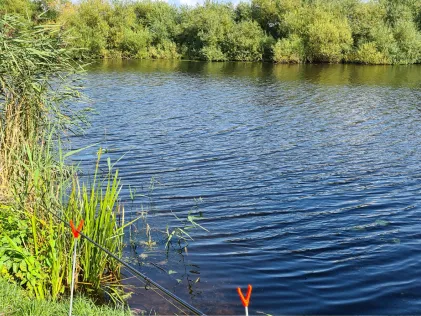Gieselau-Kanal (Oldenbüttel)