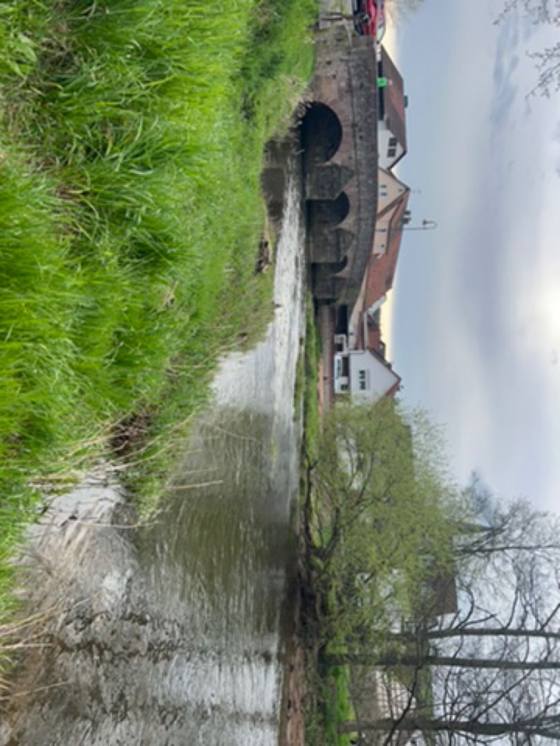Sinn (Altengronau) angeln