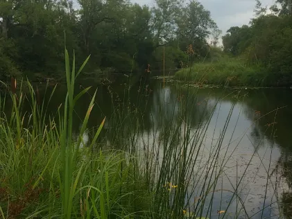 Kesselseil (Lauingen)