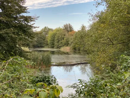 Teich am Ehrenhain