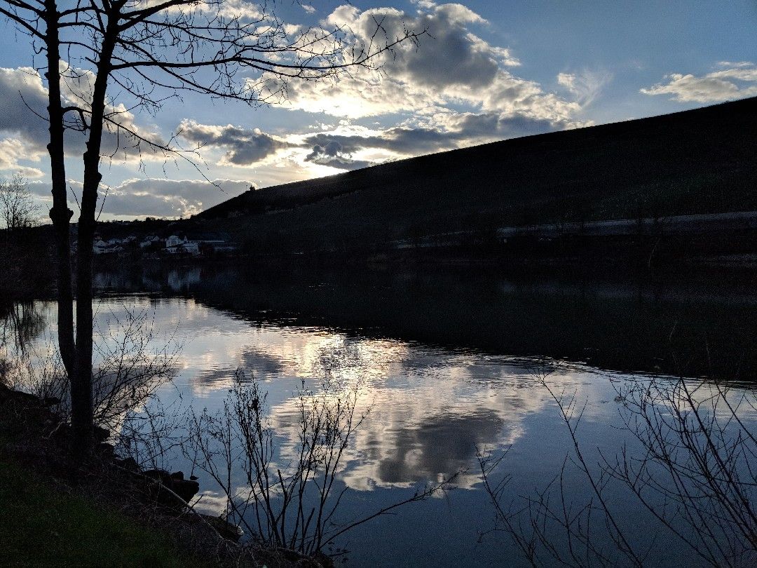 Mosel (Wincheringen) angeln