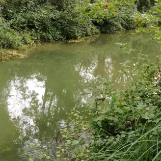 Sickergraben Isar 2 (rechts)