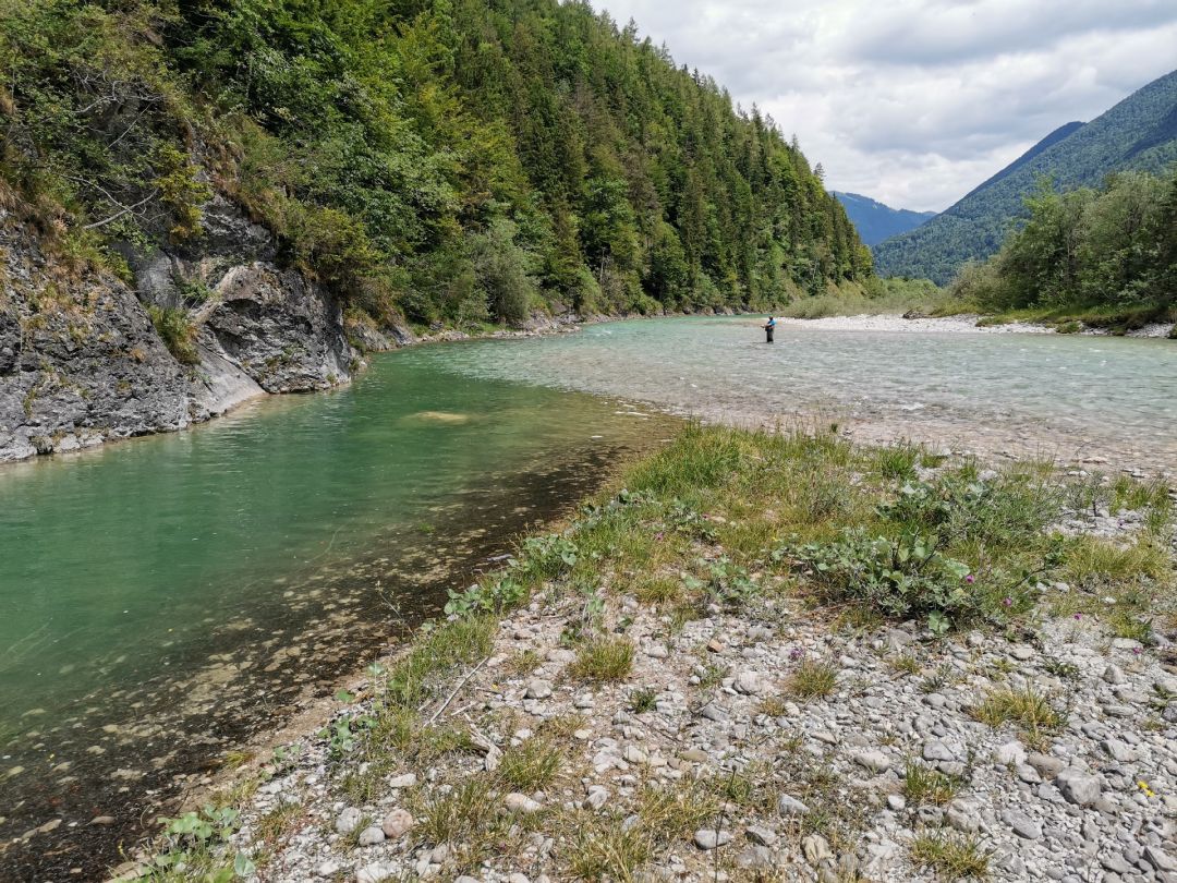 Isar (Lenggries) angeln