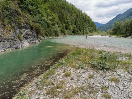 Isar (Lenggries)