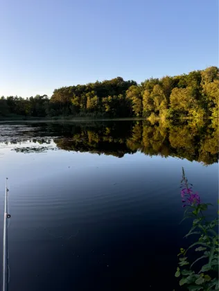 Hirseteich (Walkenried)
