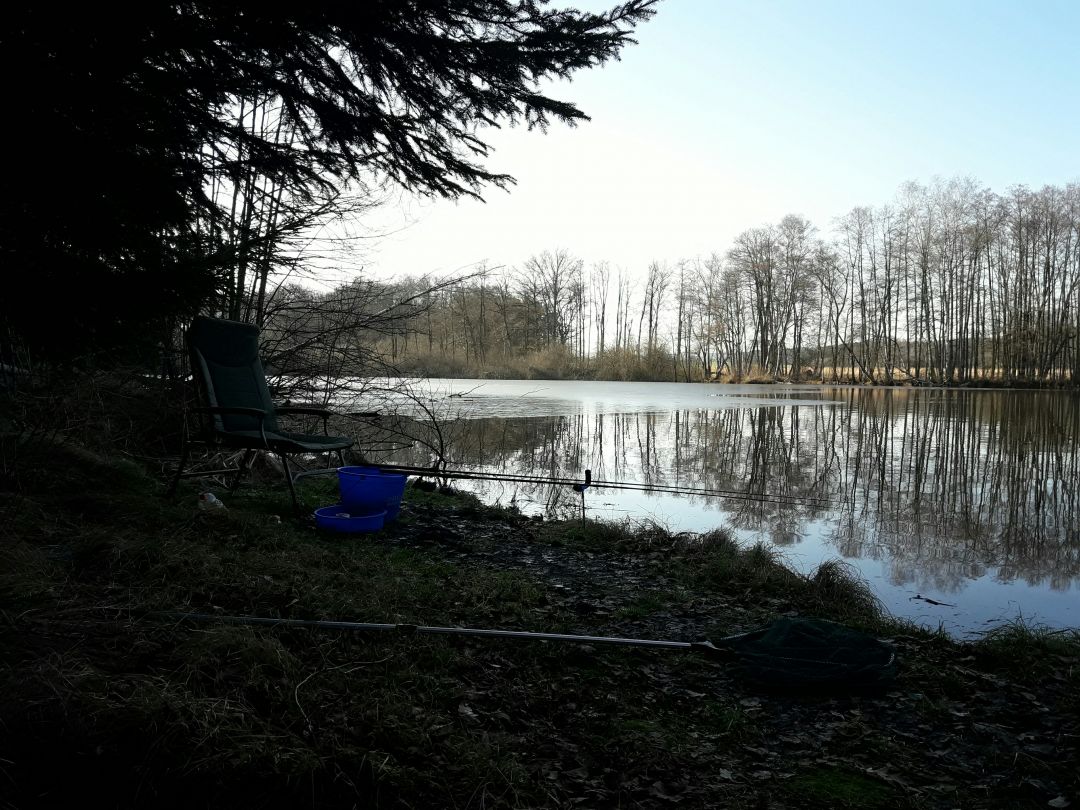 Schindelweiher (Hirschau) angeln