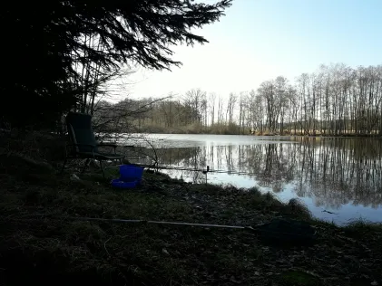 Schindelweiher (Hirschau)