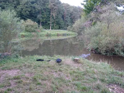 Regnitz (Pettstadt)