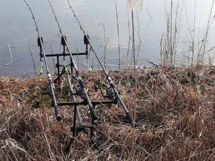 Groote Rietplas (Parc Sandur)