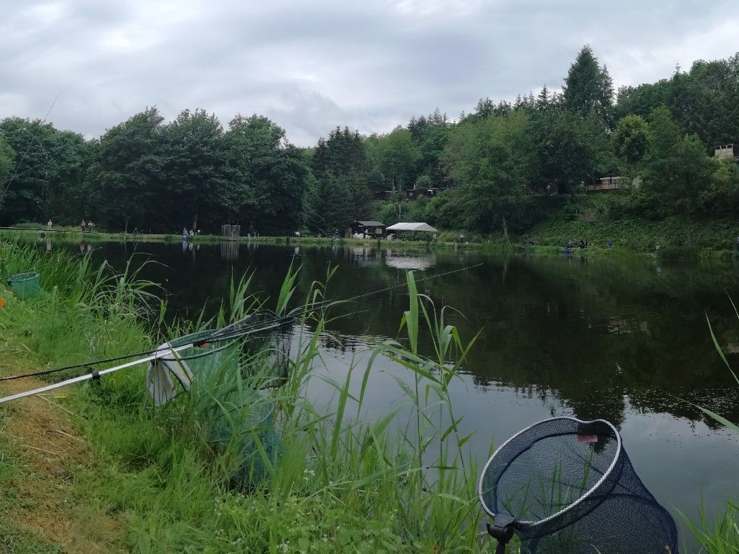 Angeln in Manderscheid