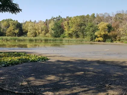 Himmelteich (Sommerschenburg)
