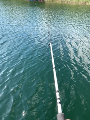 Bindower Ziestsee