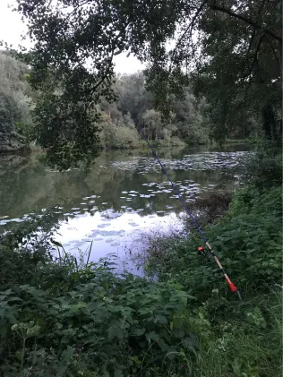 Alte Lahn (Lollar)