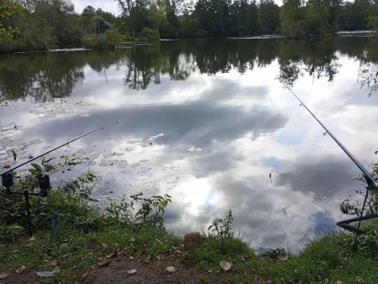 Unterer Aueweiher (Fulda)