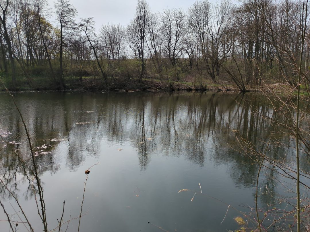 Burgteich Konradsburg angeln