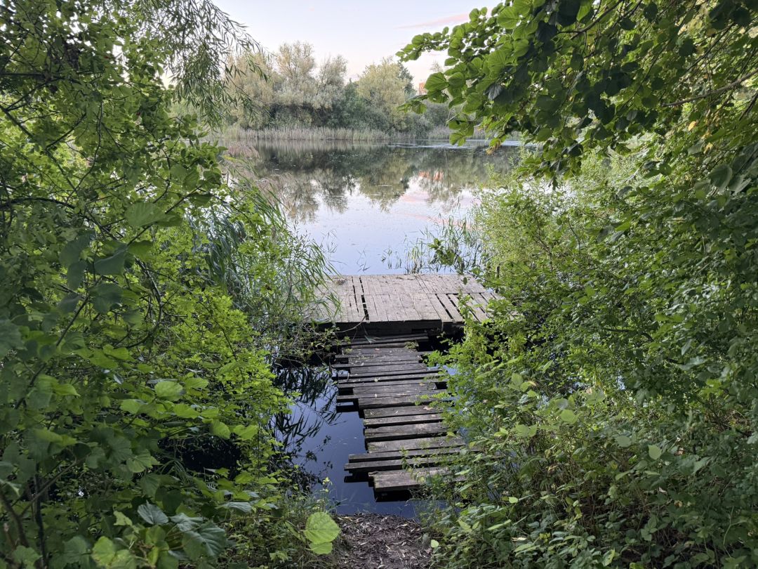 Fünfeichener Teiche angeln