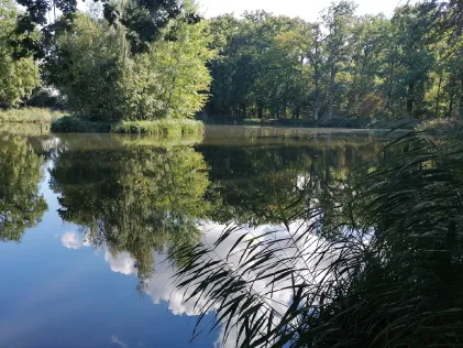 Kellerbuschteiche (Lindstedt)