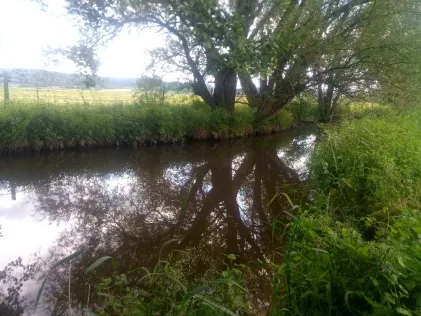 Wetschaft (Wetter)