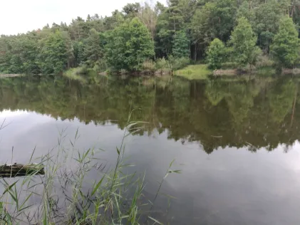 Trintsee