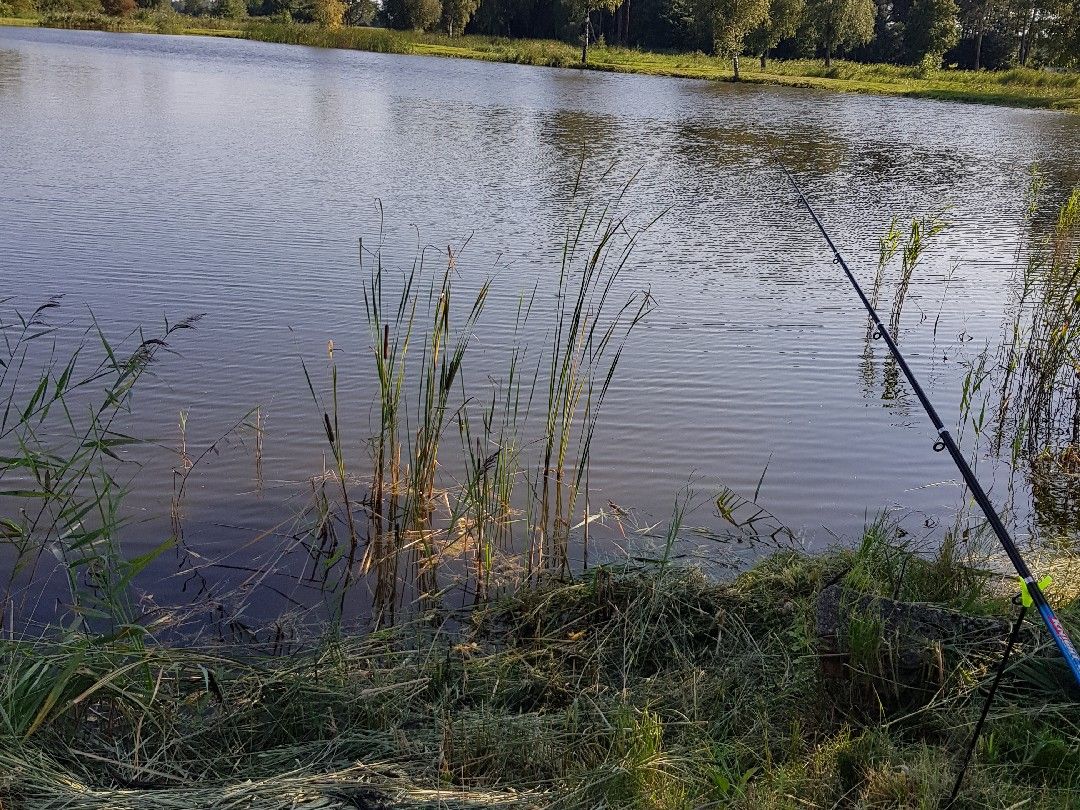 Fischzucht Knutzen angeln