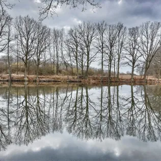 Lehmgrube Hellerau