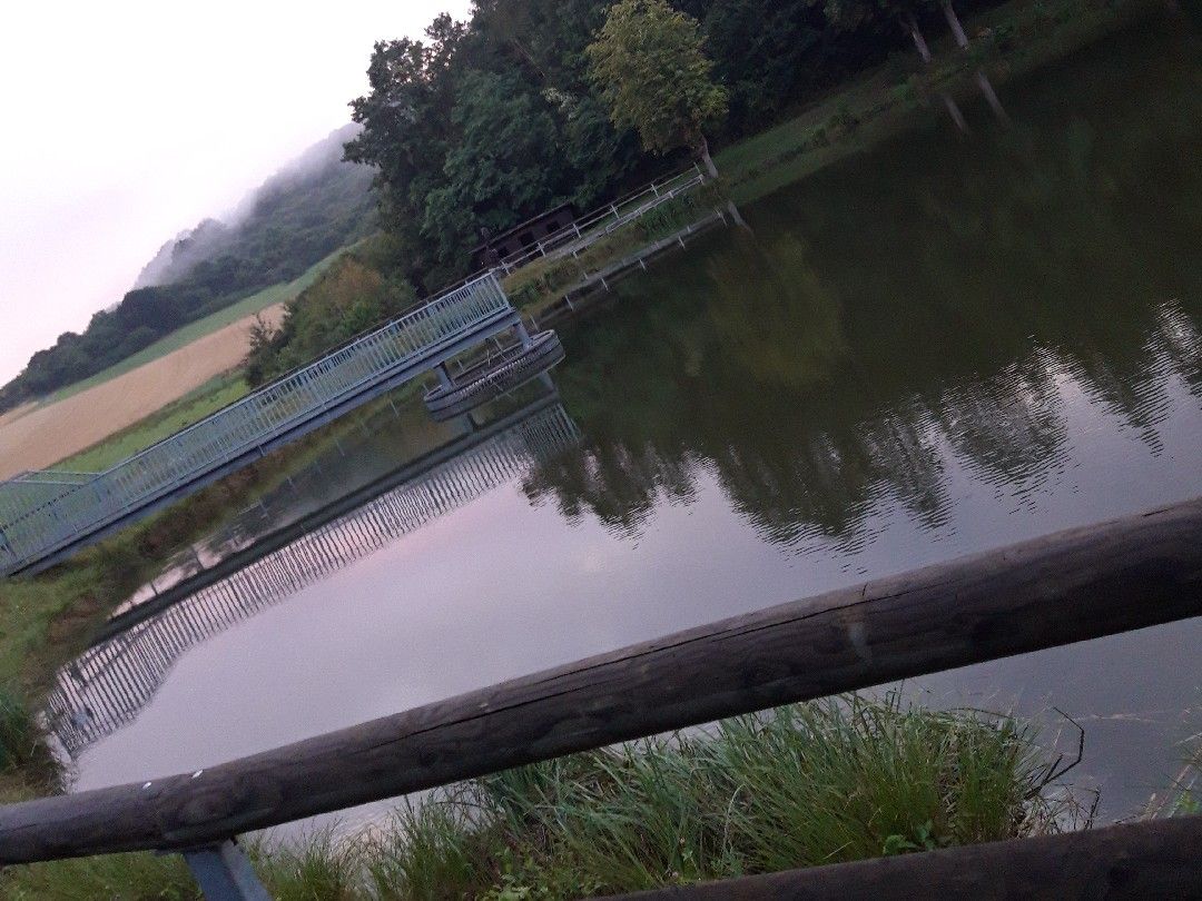 Gerolsteiner Stausee angeln