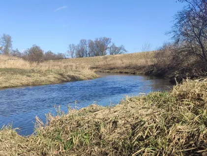 Kleine Donau (Vohburg)