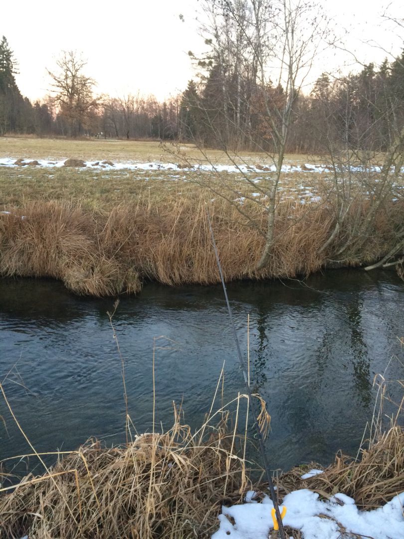 Mühlbach (Prien am Chiemsee) angeln