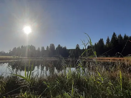 Lussensee