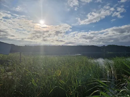 Schulzensee (Mirow)