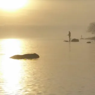 Ostsee (Dänisch-Nienhof)