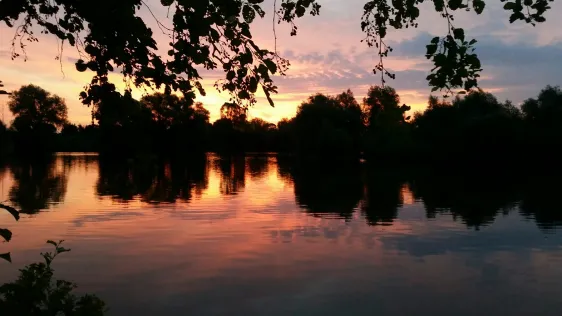 Kiessee Dungelbeck