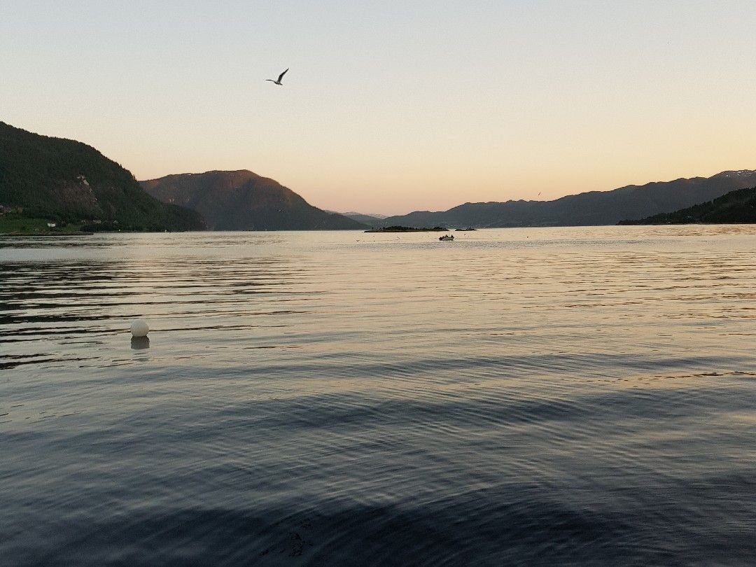 Bøfjorden angeln